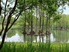 -贡湖湾湿地公园