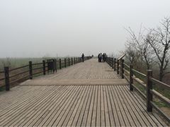 未央宫遗址-汉长安城未央宫国家考古遗址公园