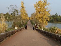 -白鹭湾湿地公园