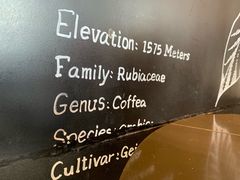 -星巴克(浦东机场T1国际27号口店)