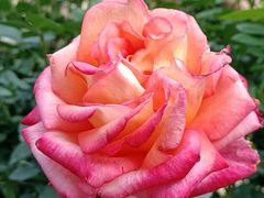 -人民公园(罗湖区)