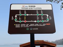 -西湖游船