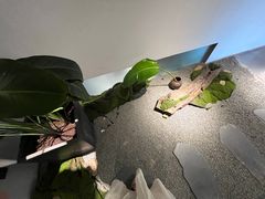 -汉艺唐风茶艺培训(联发华美空间店)