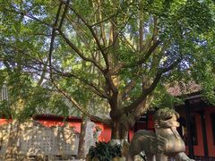 -成都武侯祠博物馆