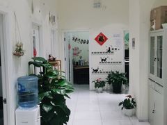 -谈·PIANO(金唐新光界店)