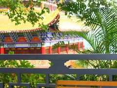 -东莞市大岭山森林公园