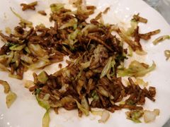 炒饼-春饼家常菜(百子湾店)
