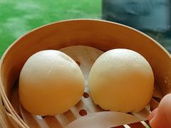 -花园5號餐厅