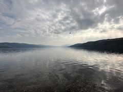 -阳宗海湿地