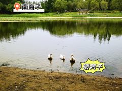 -南海子公园
