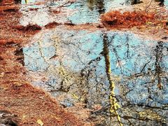 -白水寺森林公园