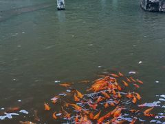 -刘伯温故里景区百丈漈