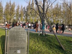 -汉长安城未央宫国家考古遗址公园