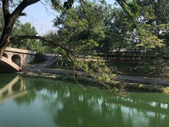 -赵州桥景区