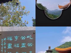 -深圳仙湖植物园