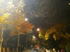 -吉林大学(南岭校区)
