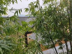 -崇阳三特浪口温泉