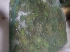 -蜀膳坊(洪公祠小区店)