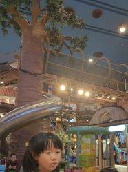 -卡通尼·Safari非洲探索乐园·生日会(金桥国际商业广场店)