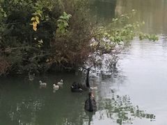 -南通濠河风景名胜区