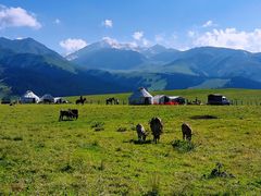 -新疆那拉提国家旅游度假区