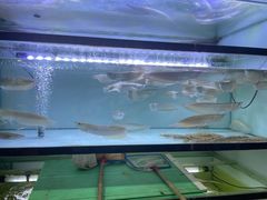 -华声天桥民俗文化园