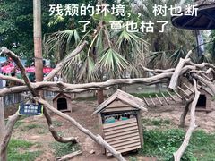-灵玲国际马戏城