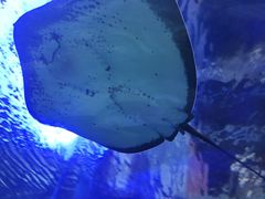 -秦皇岛新澳海底世界
