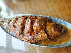 -95号酱骨·一块豆腐(展春园西路店)