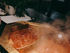 九香肥牛-蜀九香火锅(彩虹店)
