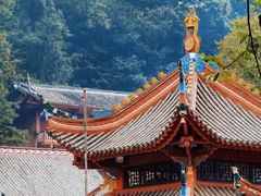 -黔灵山公园