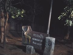 -清迈夜间动物园