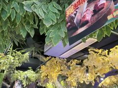 -城墙拐拐火锅(三峡广场黑金冠店)