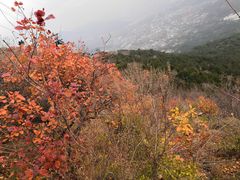 -香山公园