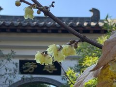 -武汉园博园(武汉自然博物馆)