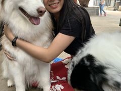 -TrueLove @ Neverland (Husky Cafe)
