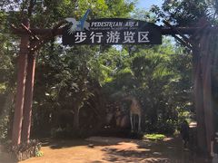 -海南热带野生动植物园