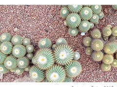 -南通洲际绿博园