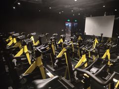 -威尔仕健身(丁香国际店)
