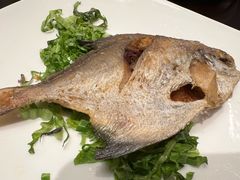 -京香轩·中餐厅(上海中庚聚龙酒店)