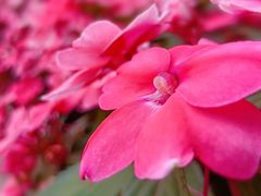 -昆明春城湖畔度假村