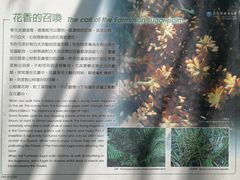 -太鲁阁公园