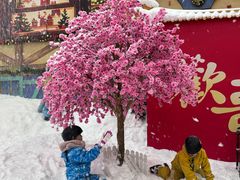 -广州热雪奇迹