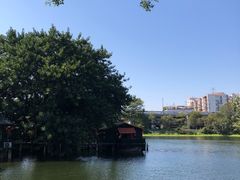 -侨美·唐荔园·40年地道粤菜