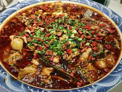 -新概念来凤鱼(璧山店)