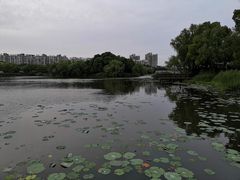 -新江湾城公园