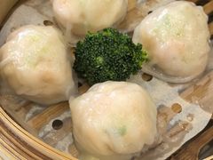 -馨越楼·点心·粤菜(赤坎店)