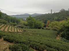 -东部华侨城