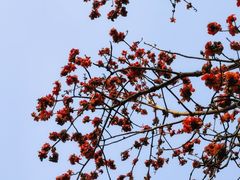 -晓港公园