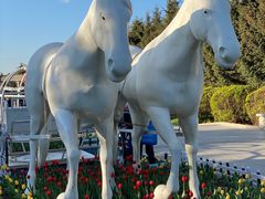 -长春公园(普阳街道)